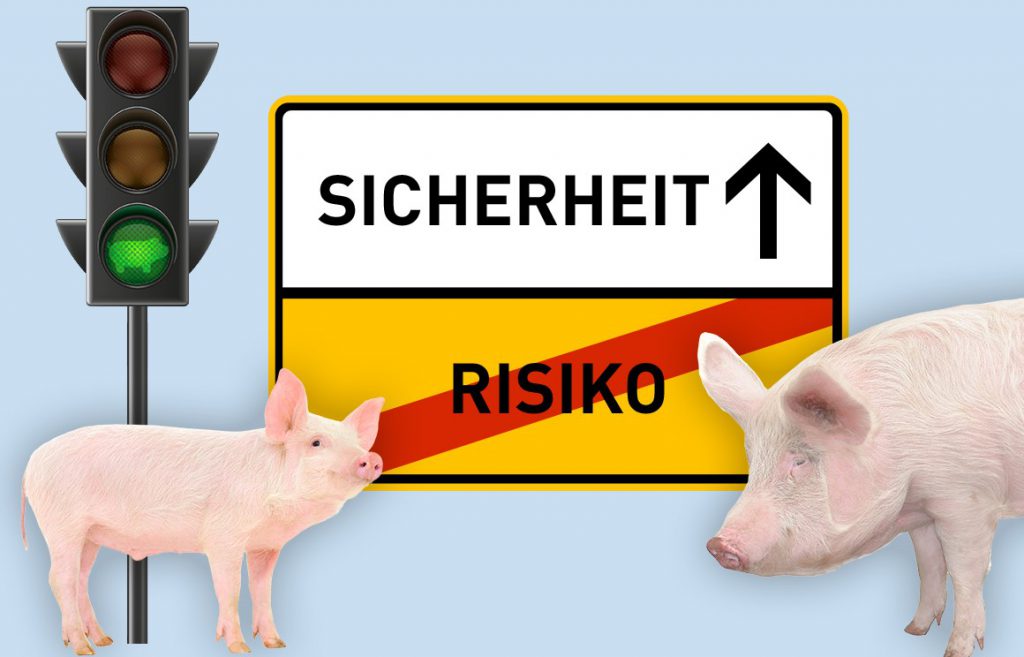 Die Afrikanische Schweinepest hat Mecklenburg-Vorpommern erreicht – Bitte prüfen Sie die Biosicherheit in Ihrem Betrieb!